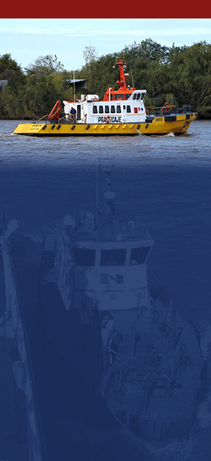 trasladopracticos copia